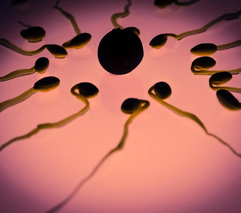Vad är Sperma Sprut och dess Funktion